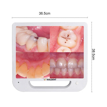 Waldent Intraoral Camera with Monitor