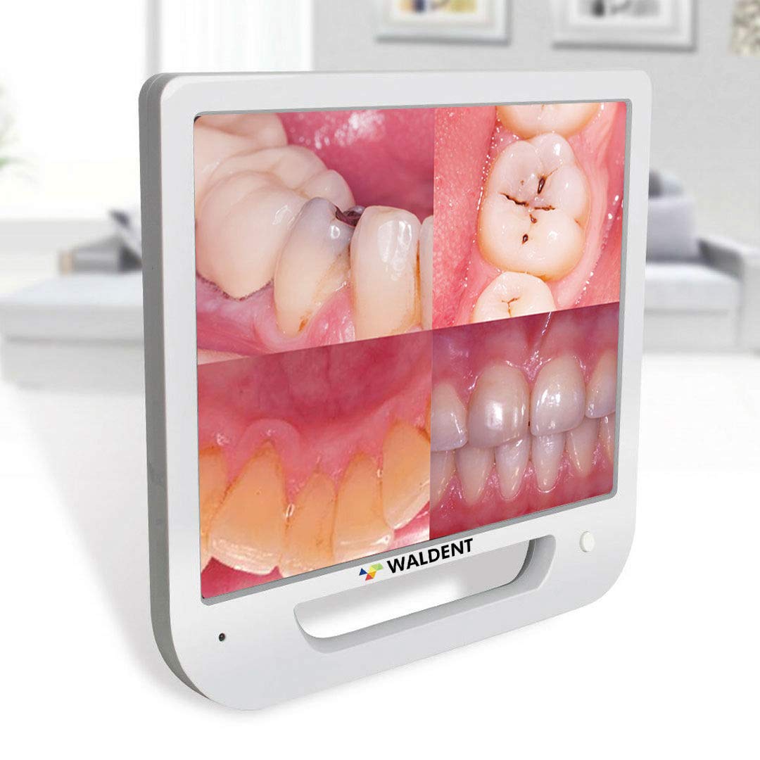 Waldent Intraoral Camera with Monitor