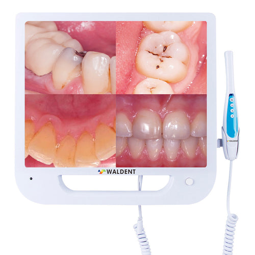 Waldent Intra Oral Camera with Screen - Ergo