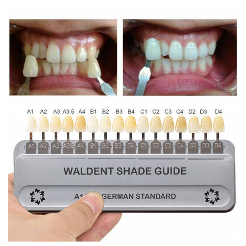 WALDENT SHADE GUIDE CLINICAL (VITA STANDARD)