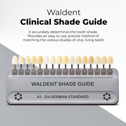 WALDENT SHADE GUIDE CLINICAL (VITA STANDARD)
